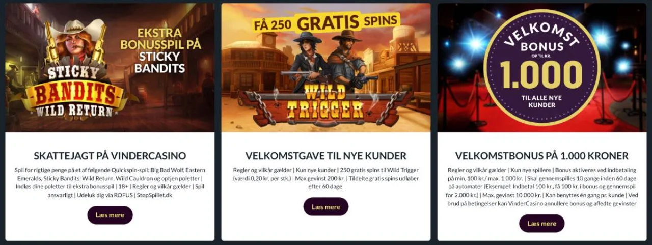 Vinder Casino Bonus
